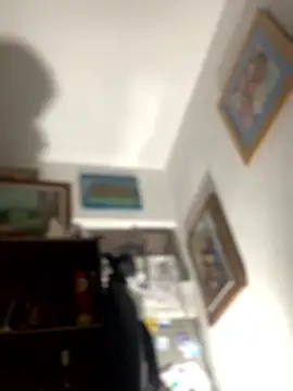 Calientesensible webcam