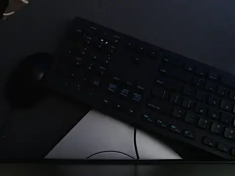 AlienforTwenty webcam