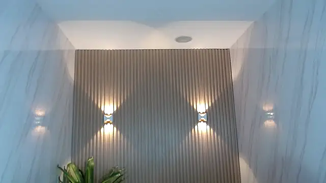 tatiscelis_tf webcam