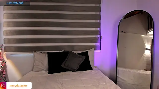 MERIDA_TAYLOR webcam