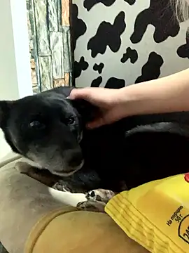 sextazy (F young) - Fuck pussy with dildo and squirt