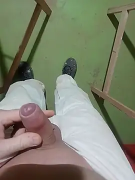 GeilerSchweizer webcam