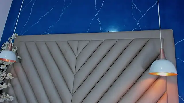 Ibbie_drastic webcam