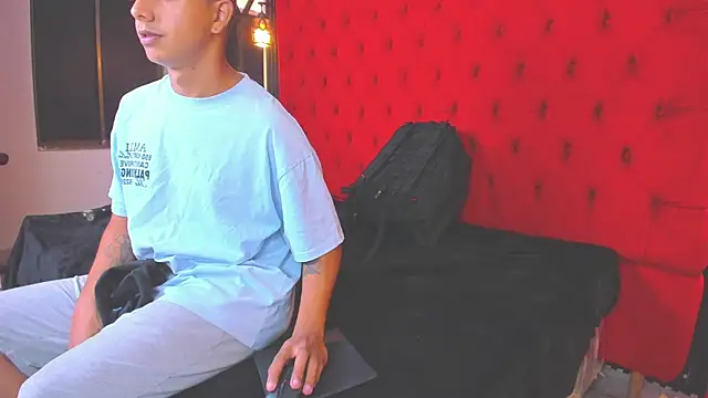 AnyAndDimitry webcam