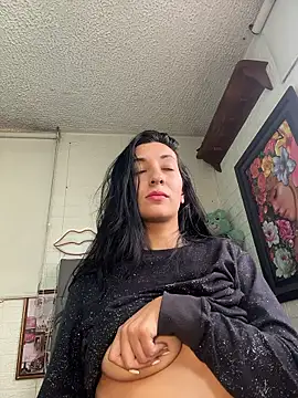 SALOME_KORLAND webcam