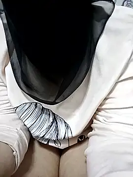 SightsedMuscadet webcam