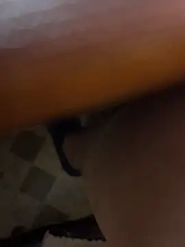 Brown_Beautyz webcam