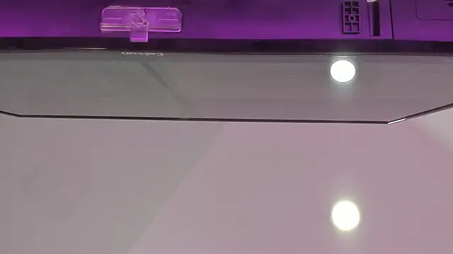 cataleyabianchi webcam