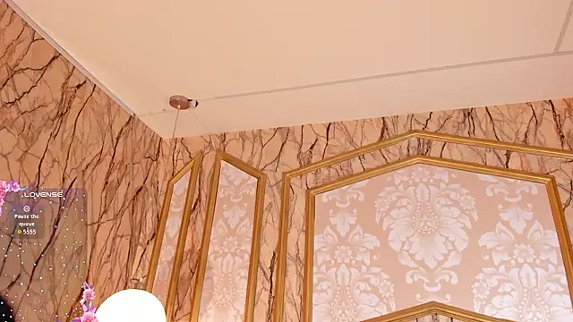 Helenstanford webcam