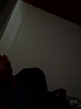 Michaell_Spinelly webcam