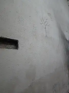 Long-termMarble56 webcam