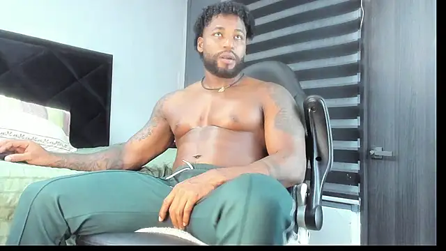 Dancelwashington webcam