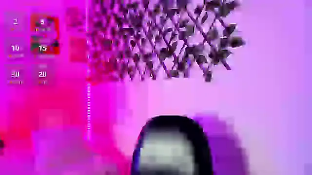 christianwang webcam