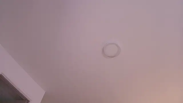 ArianaReynoldss webcam