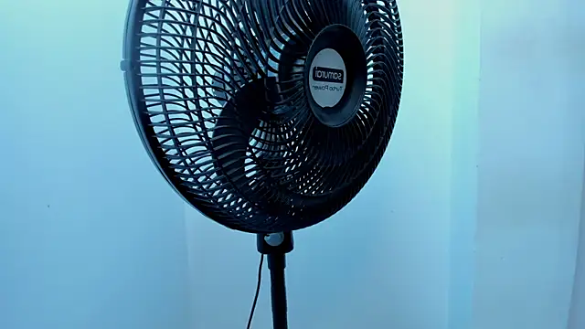 Vittoria_Conti_ webcam