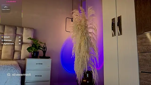 Silvermistt webcam