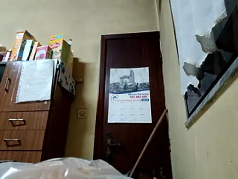 White_rabbit_ webcam