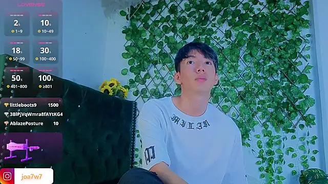 Levii_Ackermann webcam