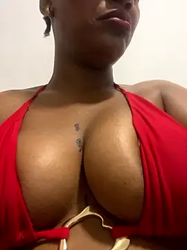 MOONSTONE2020 webcam