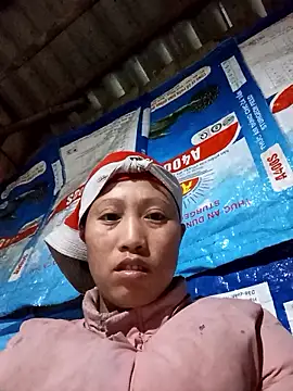 jerry-xx webcam stripchat model stream image