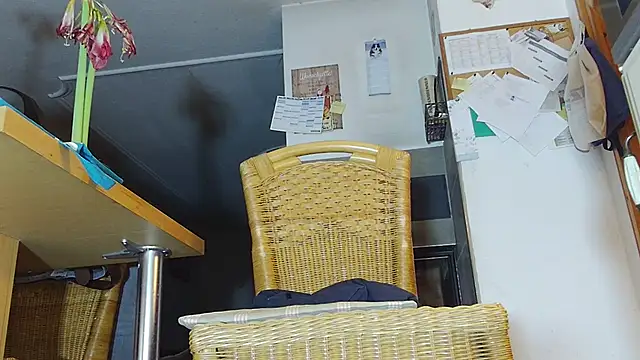 Sexspielzeug-1 webcam