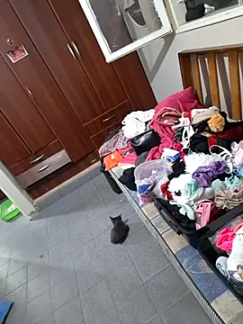 missapril0101 webcam