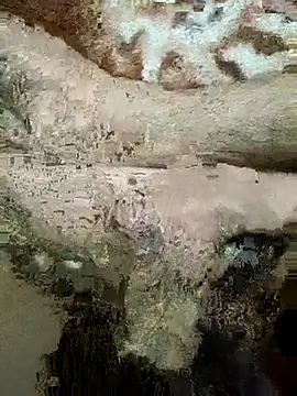 Ra_jaat_dalal webcam