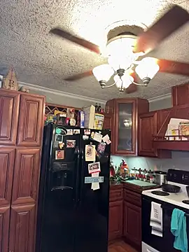 Integrityofsin webcam