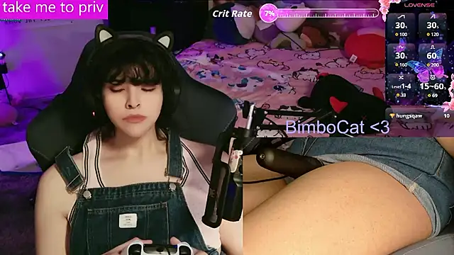 BimboCat webcam