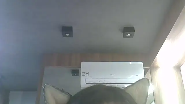 SkinnyKitten webcam