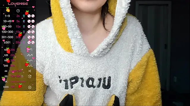 Project_hisoka webcam