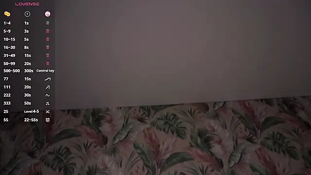 MerrieBarnicle webcam