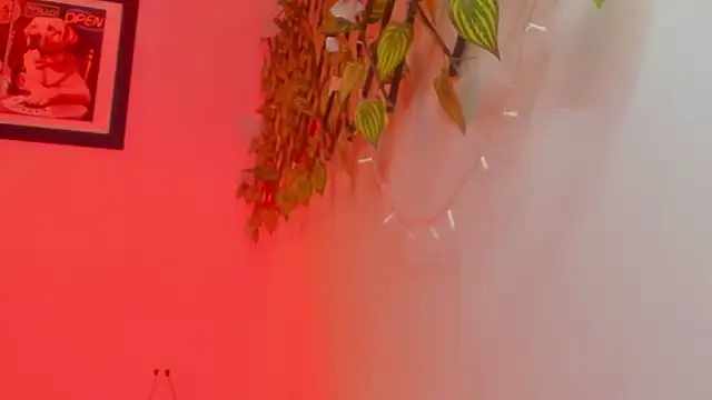 ALPHA_DOMINUS_ webcam