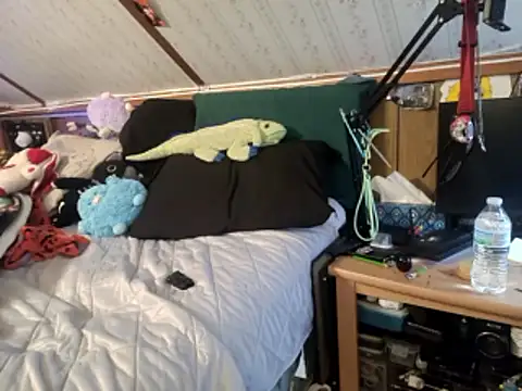 thejuicybacon webcam