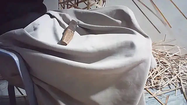 Elisa24 webcam stripchat model stream image