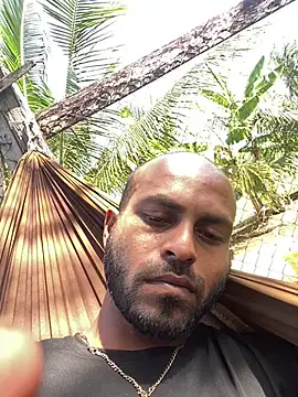 islandvybee55 webcam