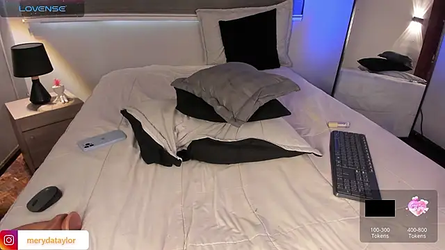 MERIDA_TAYLOR webcam