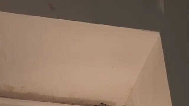 renaeconnerley - RenaeConnerley's free webcam