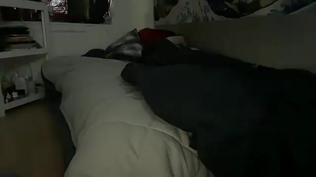 pantslesstraveler_plt webcam