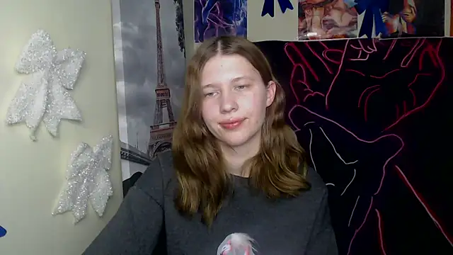 StellaCRL webcam