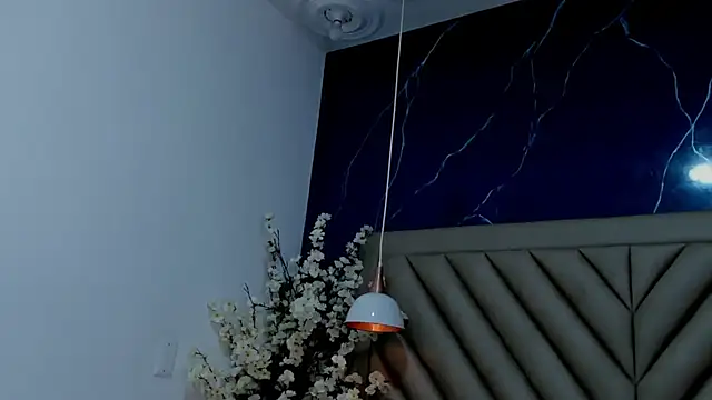 Ibbie_drastic webcam