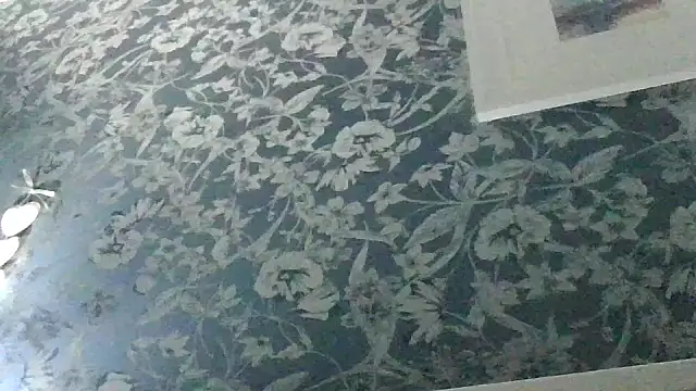 Ebony-SultryX webcam