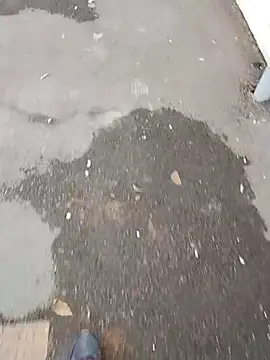 NovelPastime6 webcam