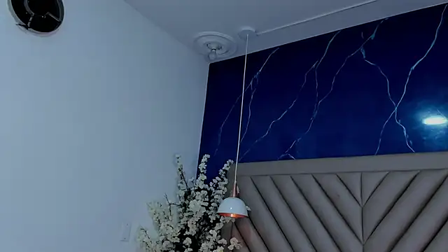 Ibbie_drastic webcam