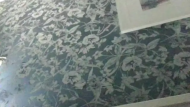 Ebony-SultryX webcam