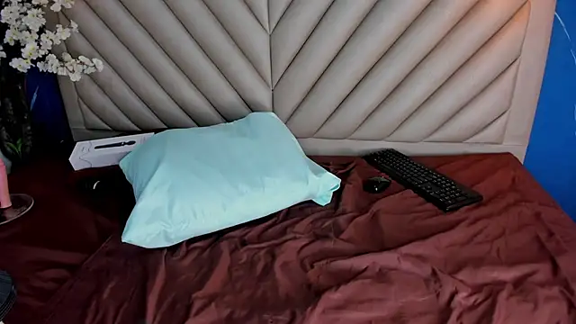 Ibbie_drastic webcam