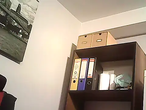 mastercharisma35 (Ask my age) - I am hetero and I am in the office