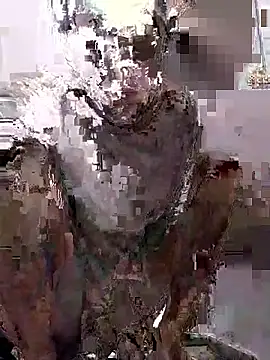 fantasticdickandballsss webcam