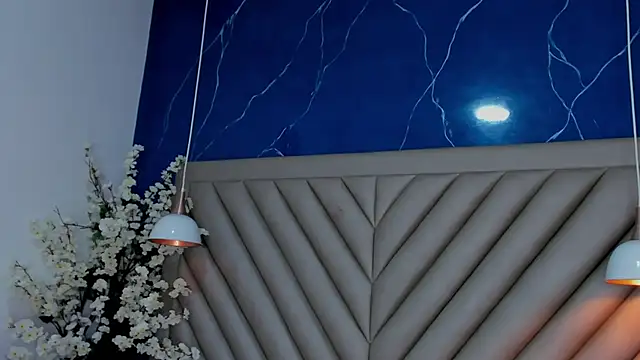 Ibbie_drastic webcam