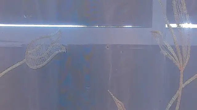 AliceStevens_ webcam